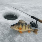 Jakie są najskuteczniejsze techniki łowienia okoni zimą
